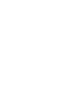 Plane Shape